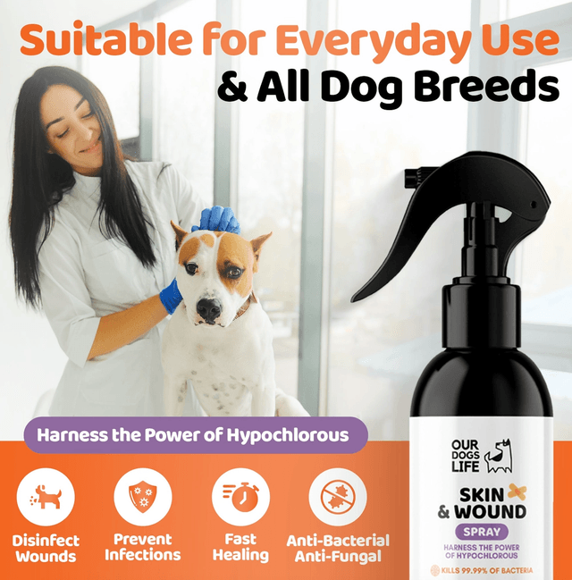 OurDogsLife - Skin & Wound Antiseptic Spray | 250ml