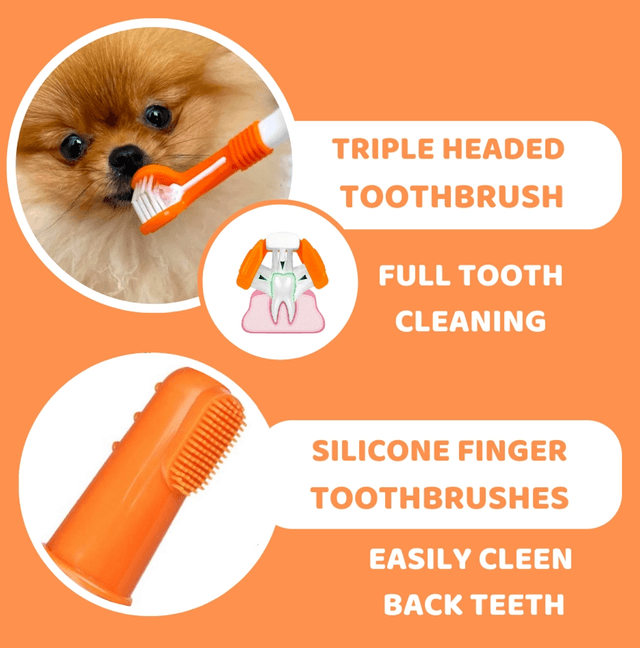 OurDogsLife - Dog Toothpaste and Toothbrush Set