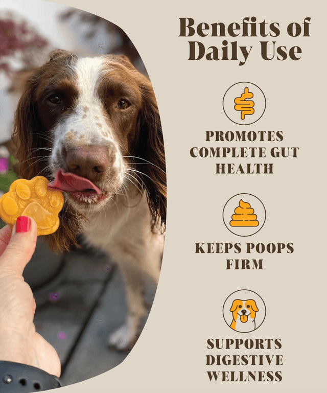 Hackney Dogs House - Probiotics For Dogs | Pumpkin Powder + Probiotic 30 Servings