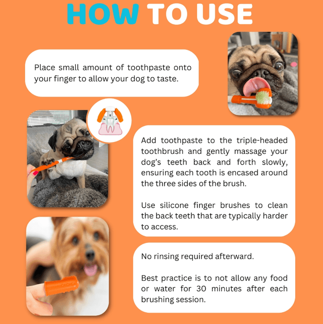 OurDogsLife - Dog Toothpaste and Toothbrush Set