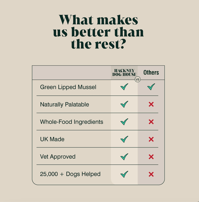 Hackney Dog House - Green Lipped Mussel Powder For Dogs | 80 Servings
