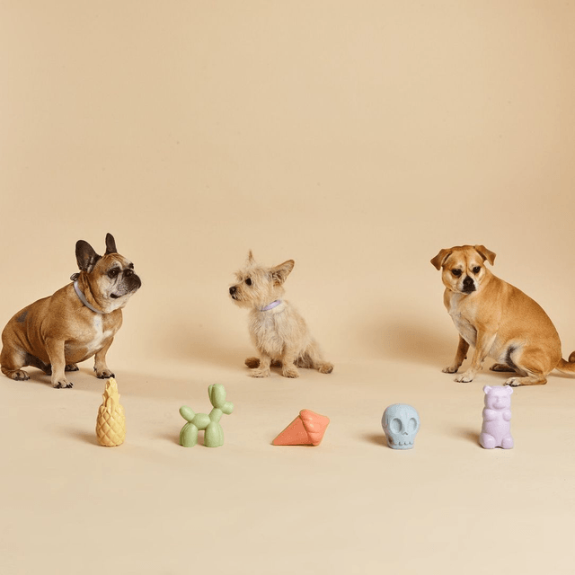 BarcLondon -Balloon Squeaky Dog Toy