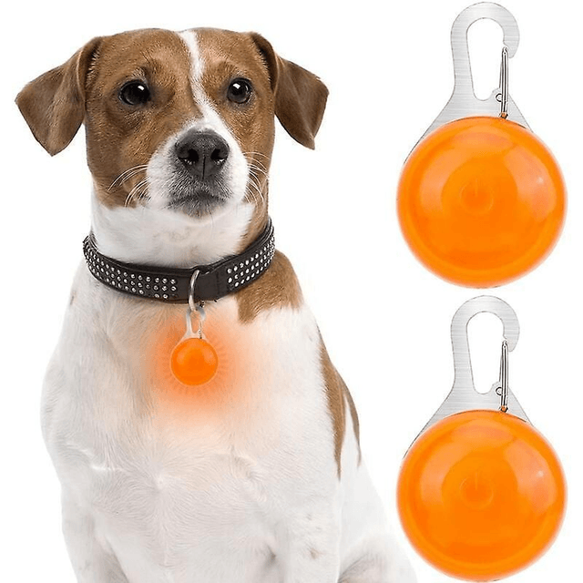 LED Dog Light Pendant