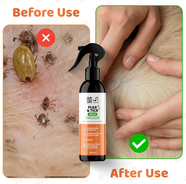 OurDogsLife - Flea and Tick Spray | 250ml