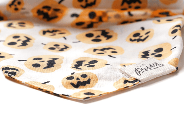 The Paws - Pumpkin Halloween Dog Bandana
