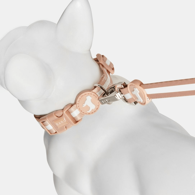 BarcLondon - Champagne Stripe Fabric Dog Collar