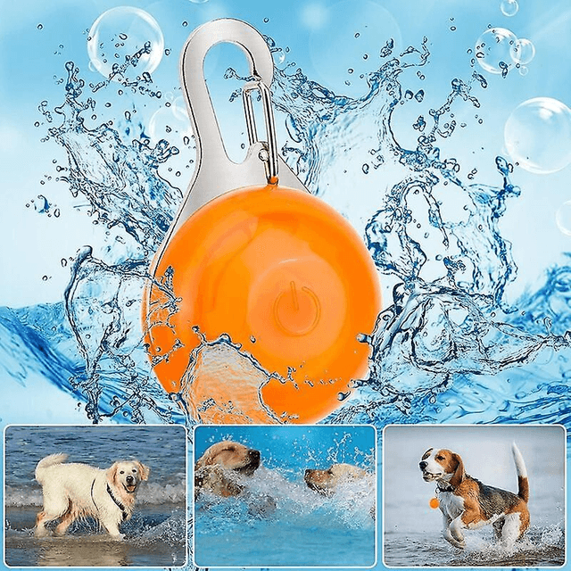 LED Dog Light Pendant