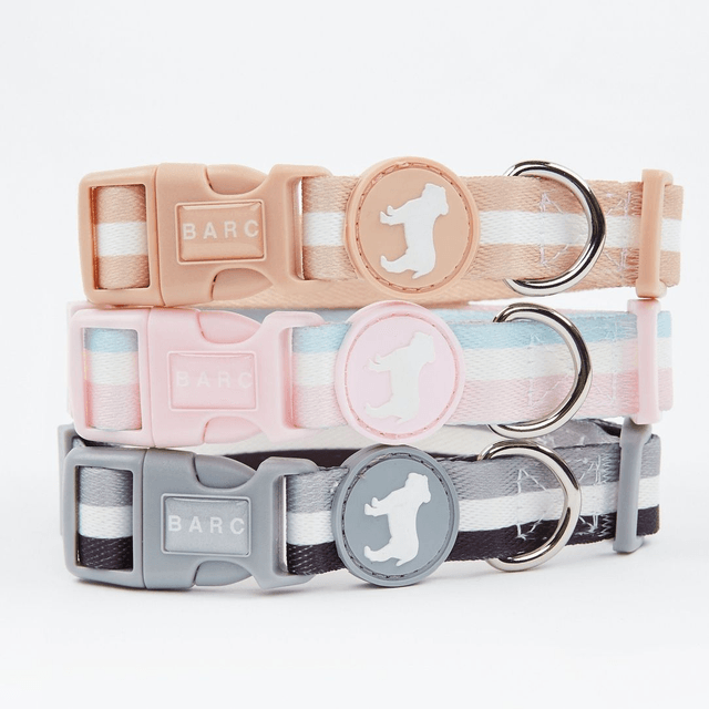 BarcLondon - Champagne Stripe Fabric Dog Collar