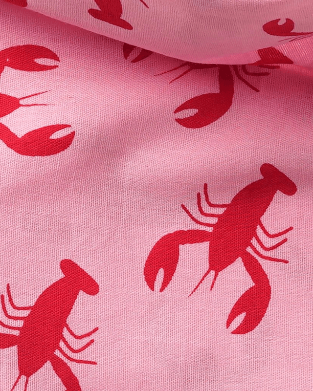 The Paws - Frye Island Lobster Bandana