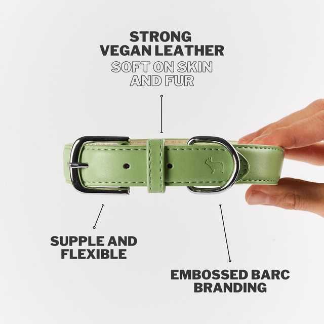 BarcLondon - Lush Green Dog Collar