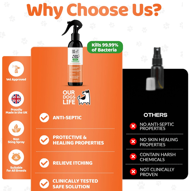 OurDogsLife - Flea and Tick Spray | 250ml