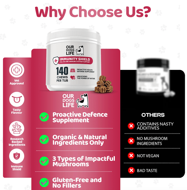 OurDogsLife - Immunity Shield Chews | 140 Chews