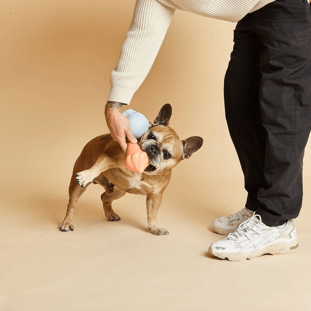 BarcLondon - Whippy Sqeauky Dog Toy