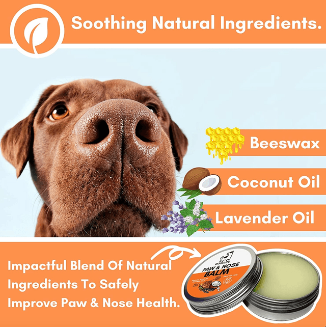 OurDogsLife - Protective Paw and Nose Balm