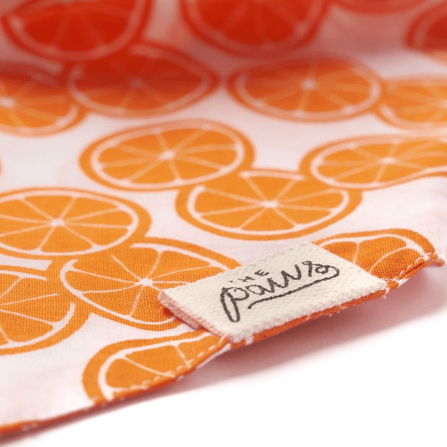 The Paws - Fresh Slice Dog Bandana