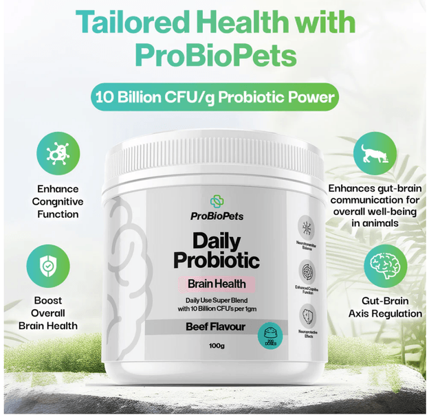OurDogsLife-Brain Health |100g