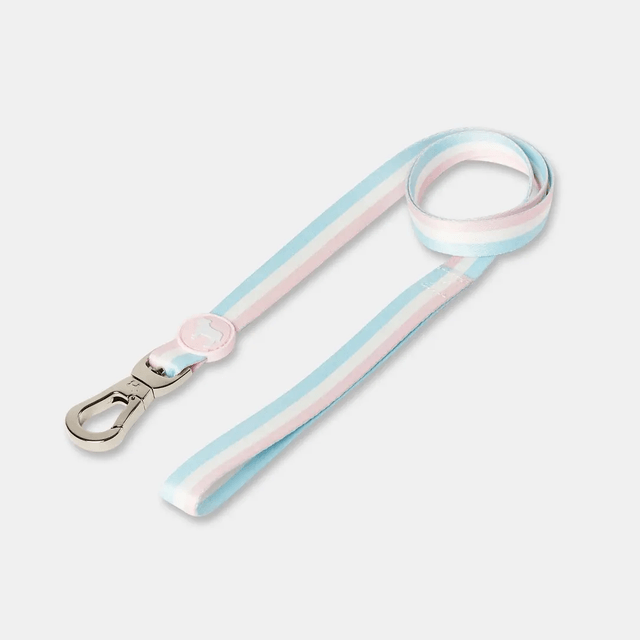 BarcLondon - Candyfloss Stripe City Lead