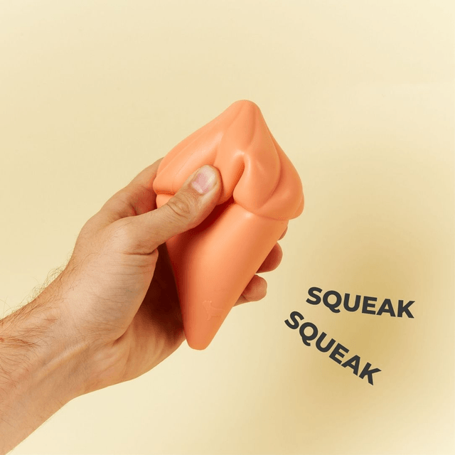 BarcLondon - Whippy Sqeauky Dog Toy