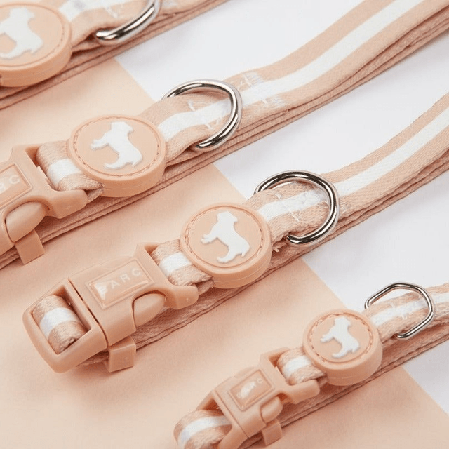 BarcLondon - Champagne Stripe Fabric Dog Collar