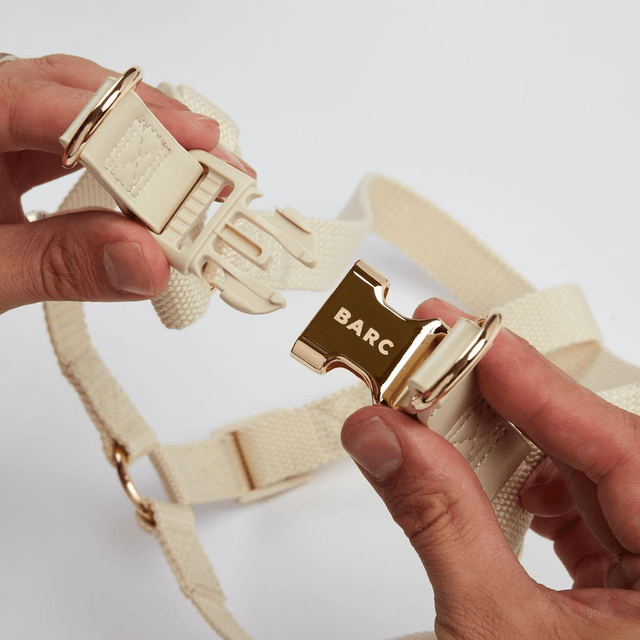 BarcLondon - Ivory Off White Dog Harness