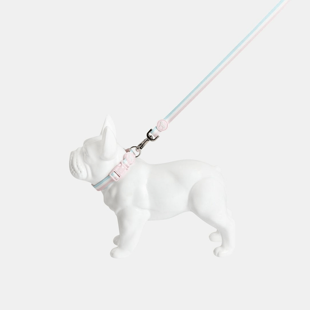 BarcLondon - Candyfloss Stripe City Lead