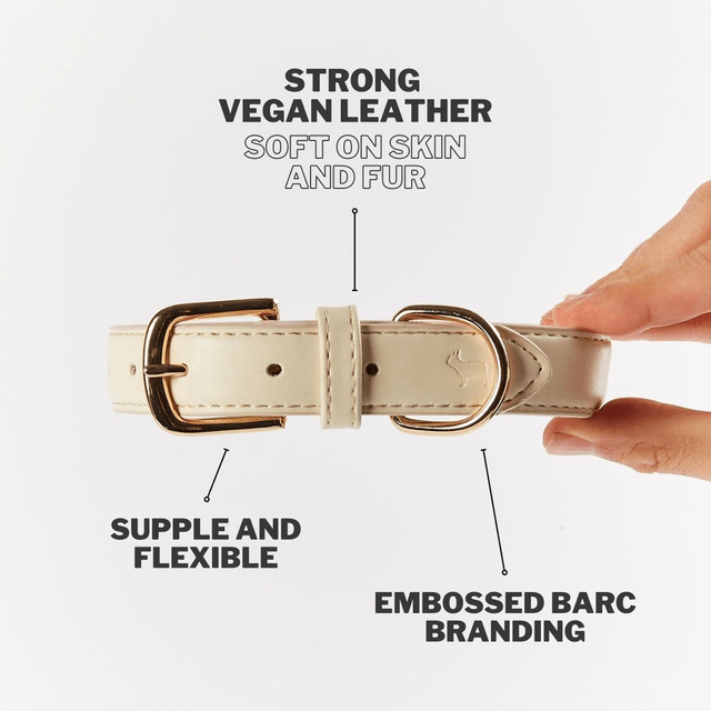 BarcLondon - Light Ivory Dog Collar