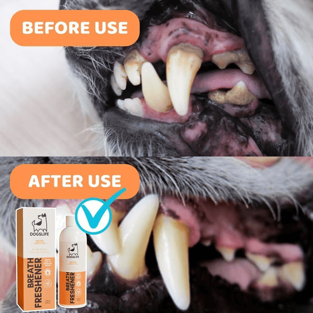 OurPetsLife - Dog Breath Freshner