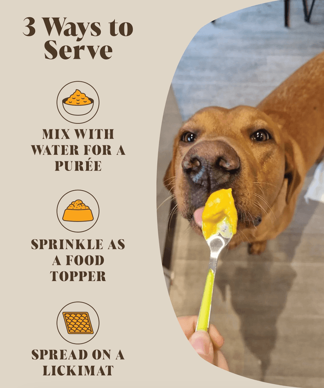 Hackney Dogs House - Probiotics For Dogs | Pumpkin Powder + Probiotic 30 Servings