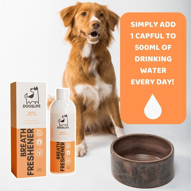 OurPetsLife - Dog Breath Freshner