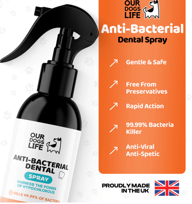 OurDogsLife-Anti-Bacterial Dental|250 ml