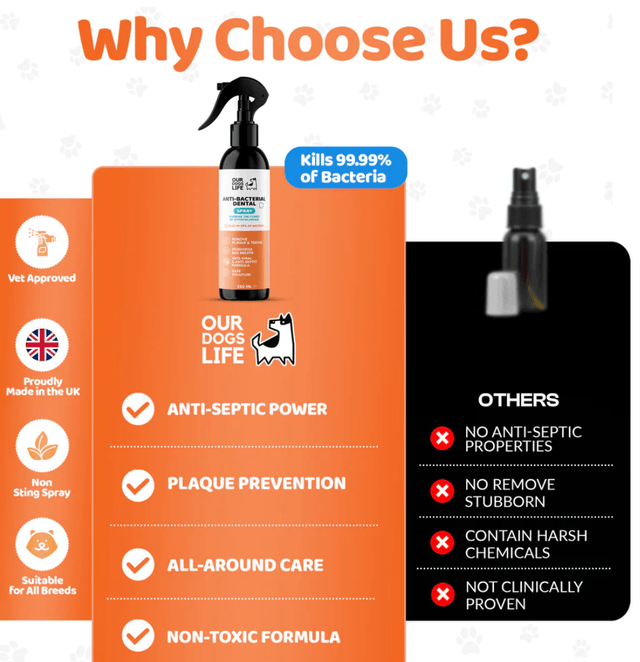OurDogsLife-Anti-Bacterial Dental|250 ml