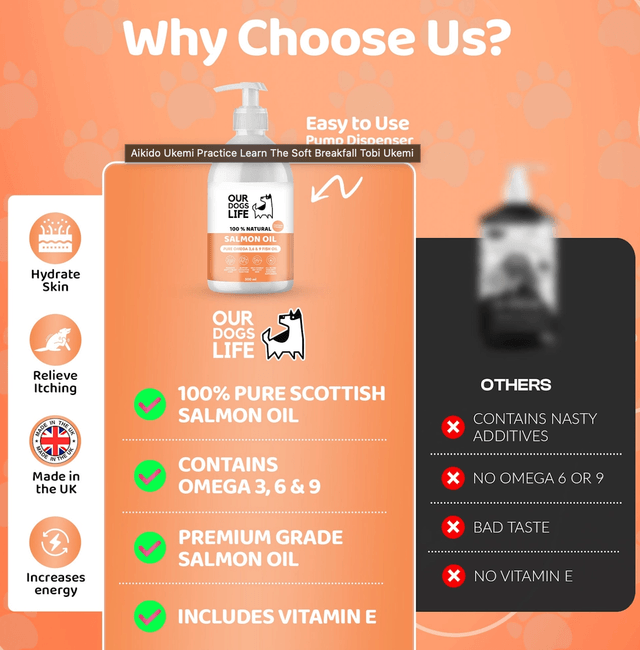 OurDogsLife - Salmon Oil | 500ml