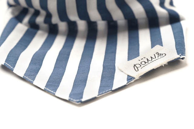 The Paws - Harbour Dog Bandana