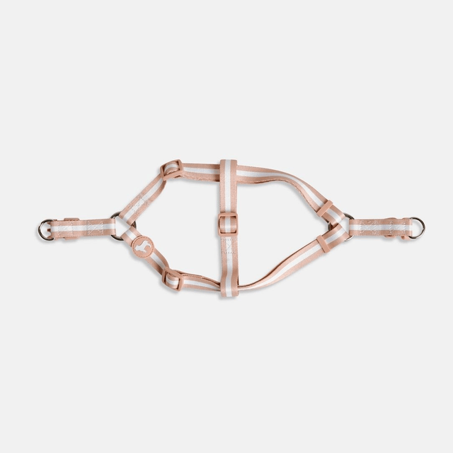BarcLondon - Champagne Stripe Fabric Dog Harness