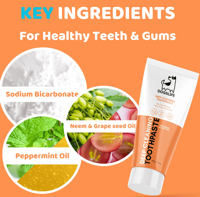 OurDogsLife - Dog Toothpaste and Toothbrush Set