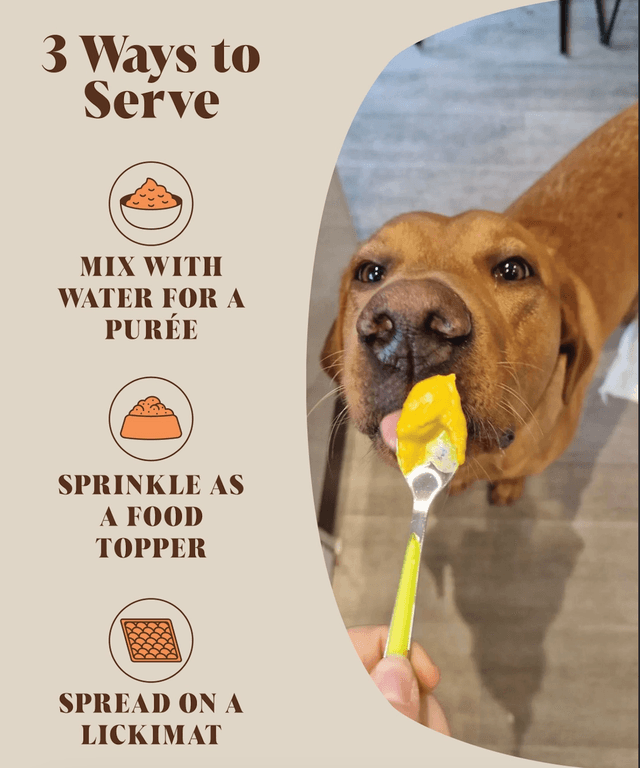 Hackney Dog House- Pumpkin Powder For Dogs | 30 Servings