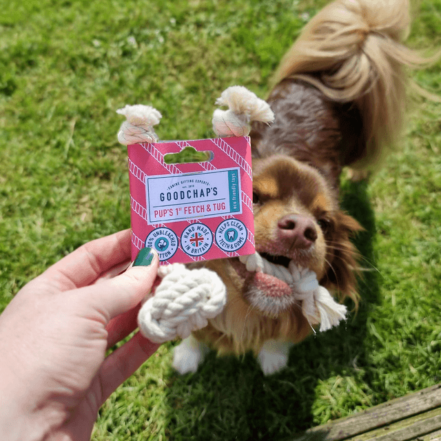 Goodchaps - Pups 1st Fetch & Tug