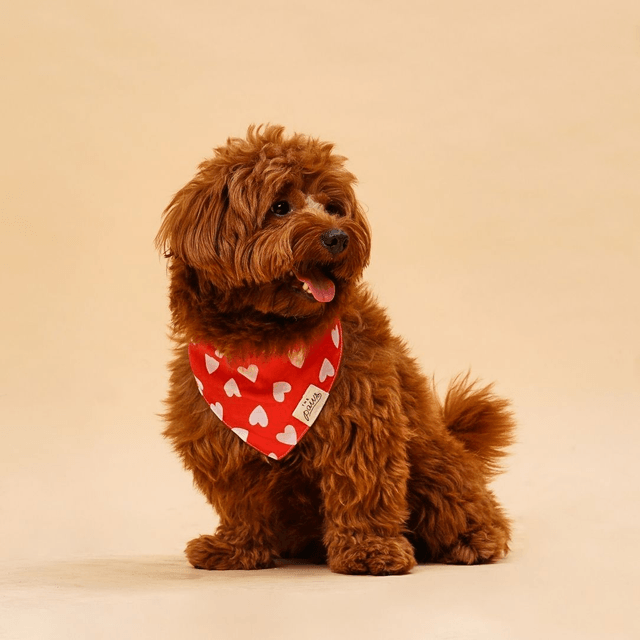The Paws - Nana Dog Bandana