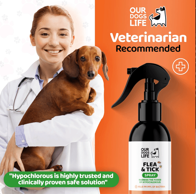 OurDogsLife - Flea and Tick Spray | 250ml