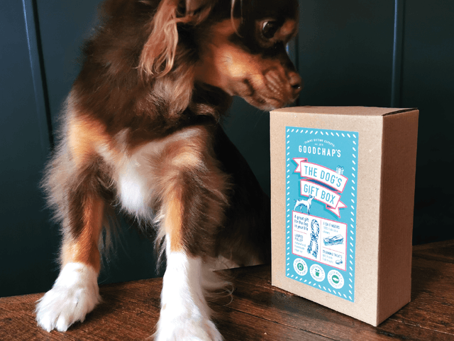Goodchaps - The Dog's Gift Box