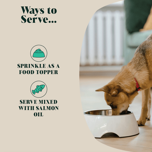 Hackney Dog House - Green Lipped Mussel Powder For Dogs | 80 Servings