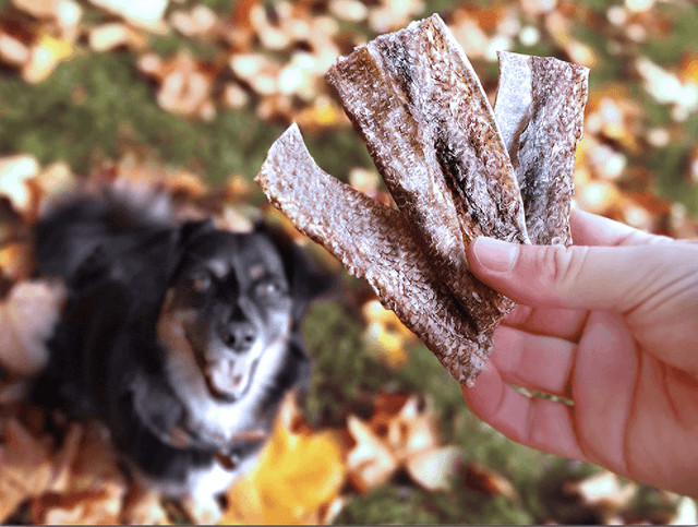 Goodchaps - White Fish Jerky |  Fish Skin Dog Treats 20g