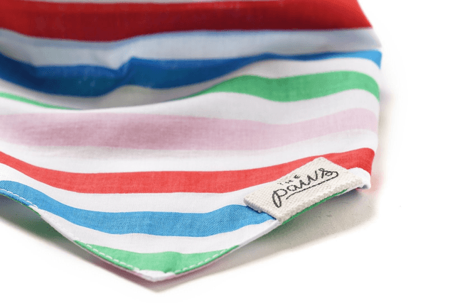 The Paws - Striped Dog Bandana 