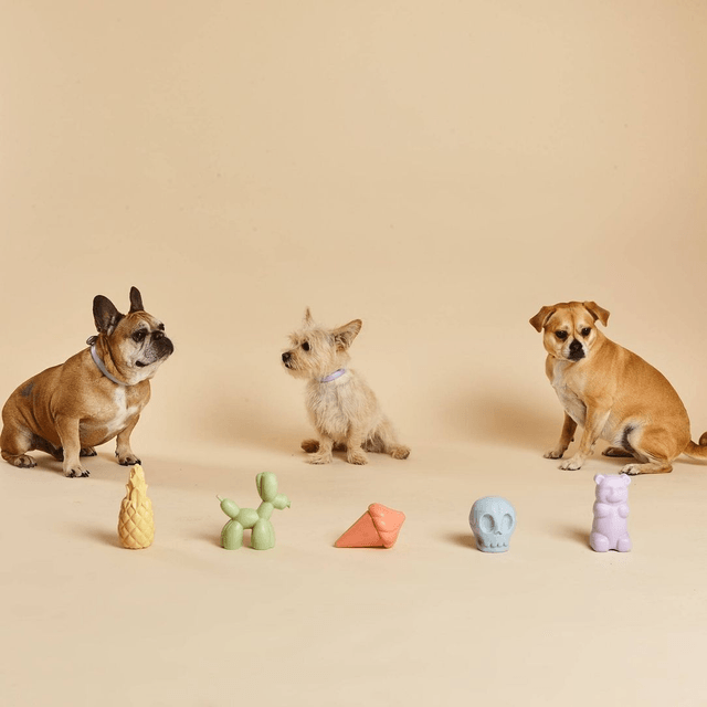 BarcLondon - Whippy Sqeauky Dog Toy