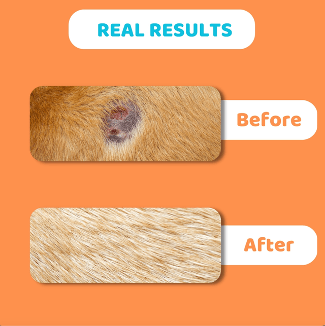 OurDogsLife - Itch Relief Skin Balm