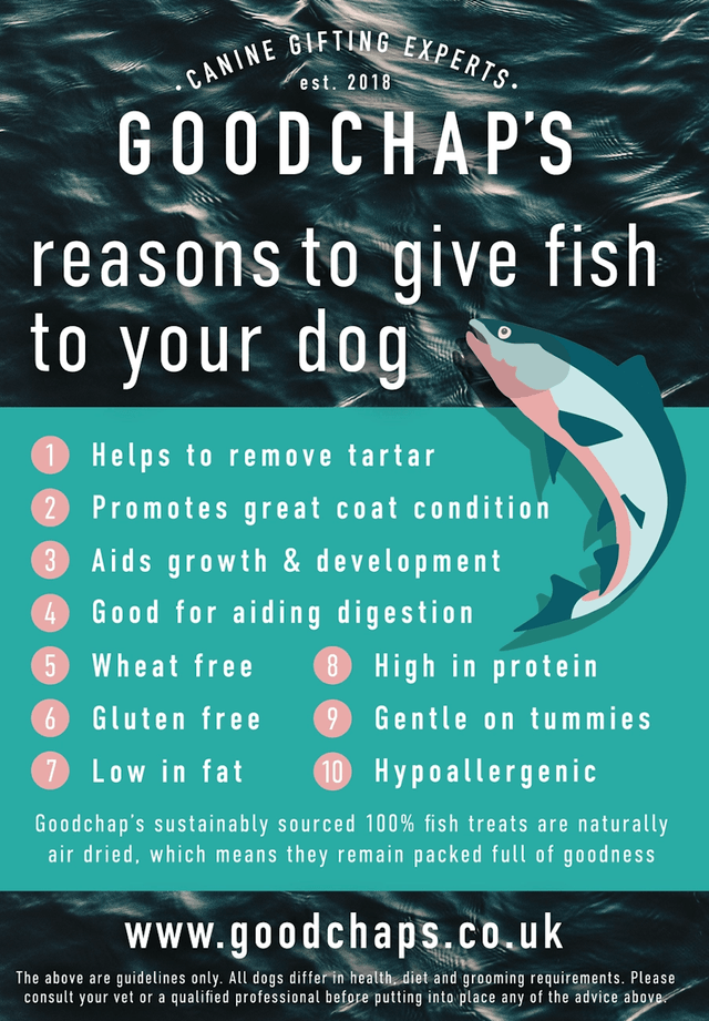 Goodchaps -  Mr Fisher's Fish Skins | 60g