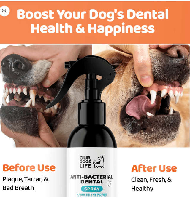 OurDogsLife-Anti-Bacterial Dental|250 ml