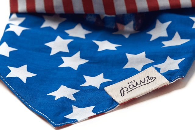 The Paws - Patriotic Dog Bandana
