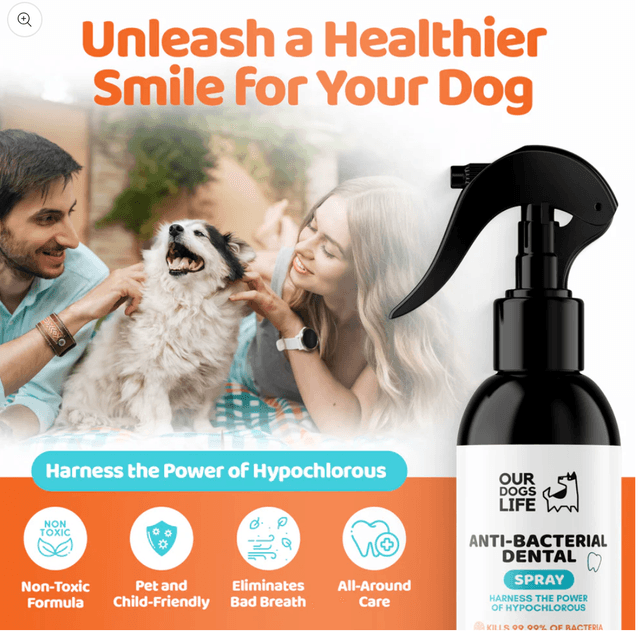 OurDogsLife-Anti-Bacterial Dental|250 ml