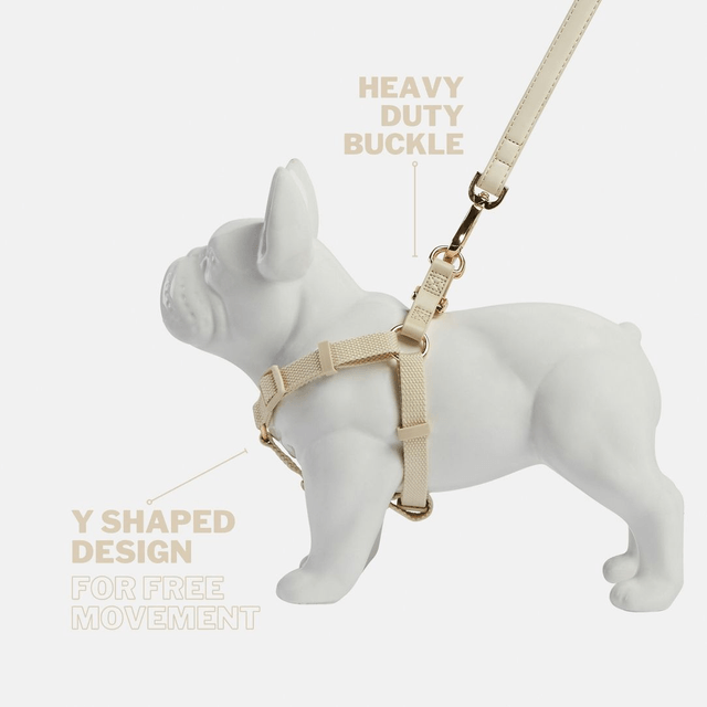 BarcLondon - Ivory Off White Dog Harness